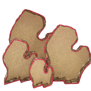 Michigan Tray