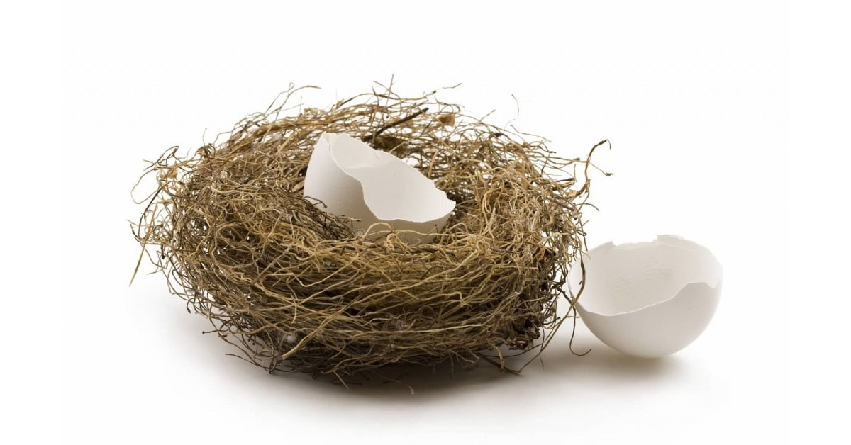 Empty Nest