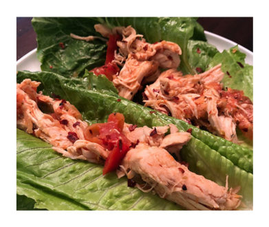 shredded cherry salsa chicken recipe